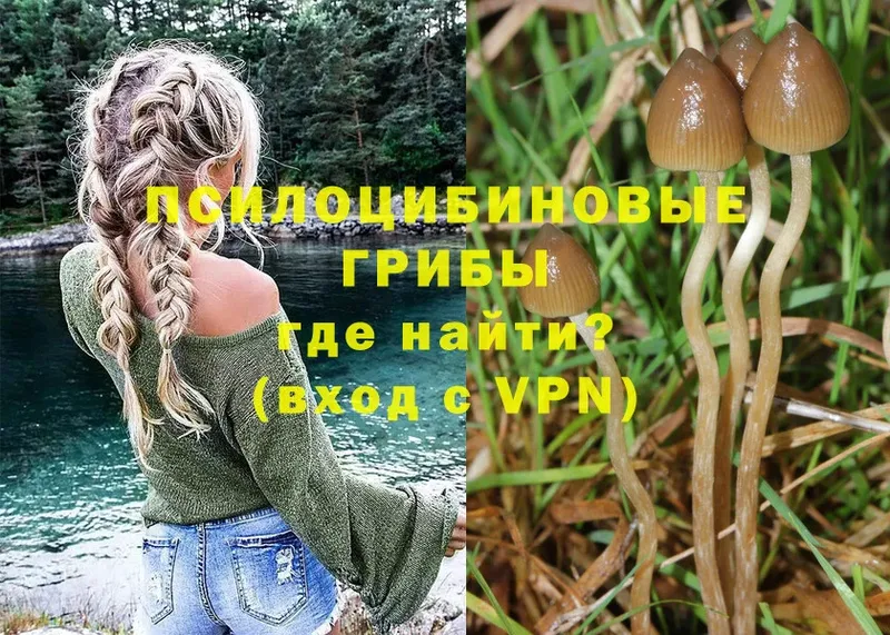 Псилоцибиновые грибы MAGIC MUSHROOMS  Салават 